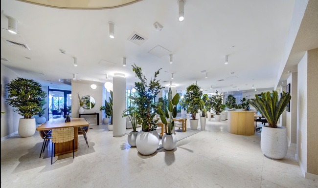 lounge area with plants and bright lighting
